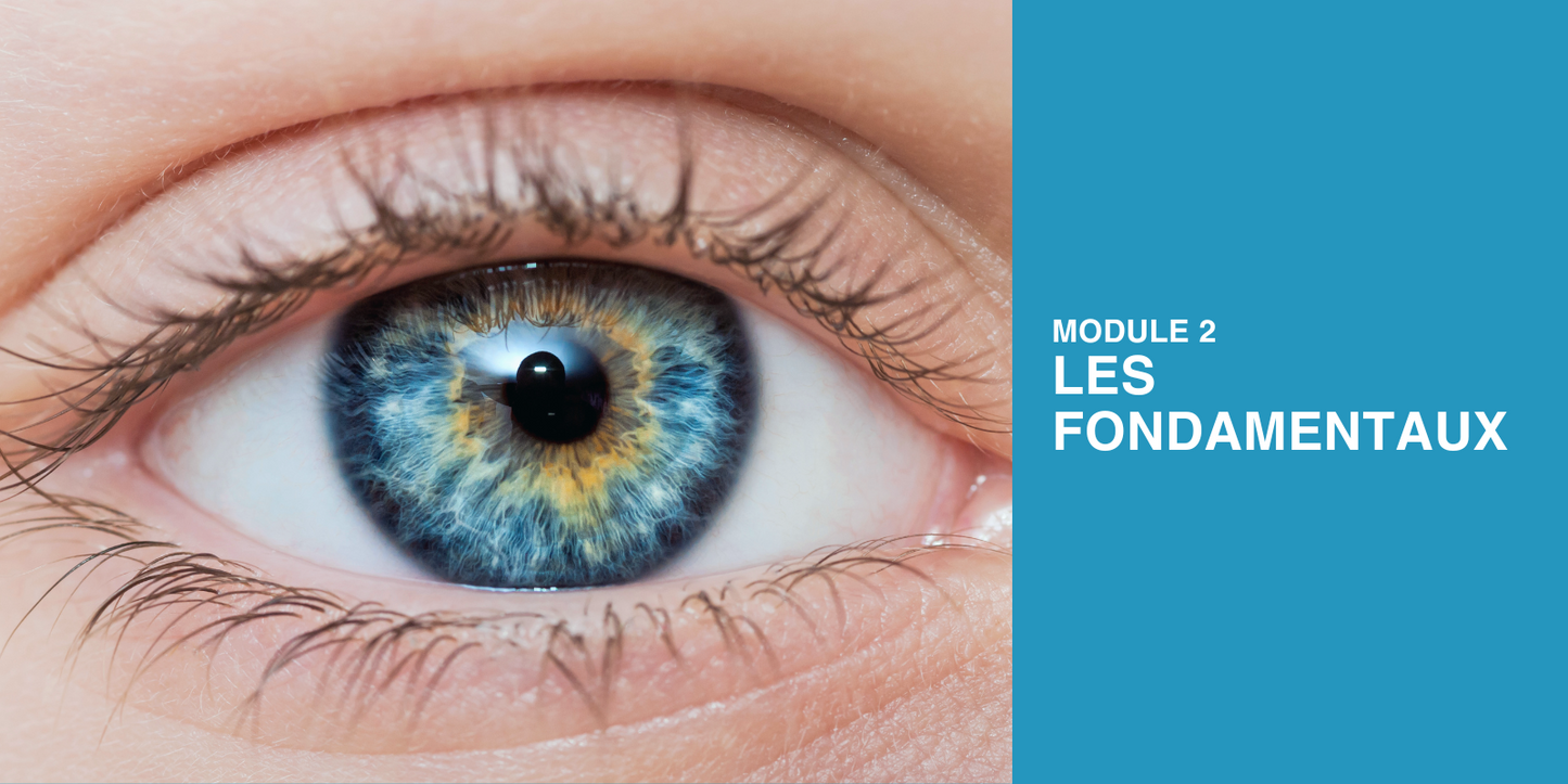 Programme VOIR! – Certification en Communication Non Verbale (4 mois)