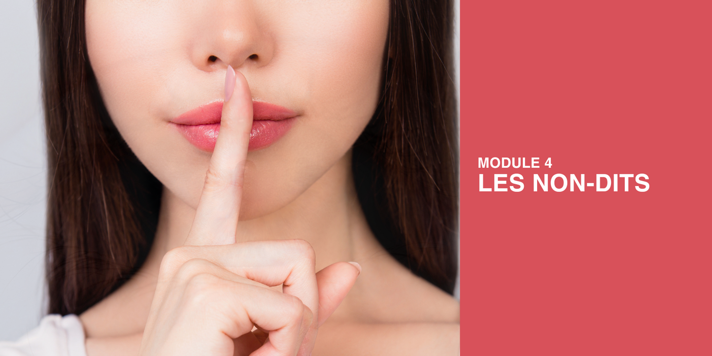 Programme VOIR! – Certification en Communication Non Verbale (4 mois)