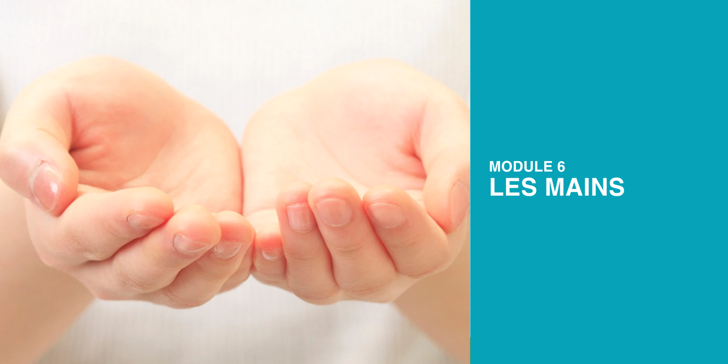 Programme VOIR! – Certification en Communication Non Verbale (4 mois)