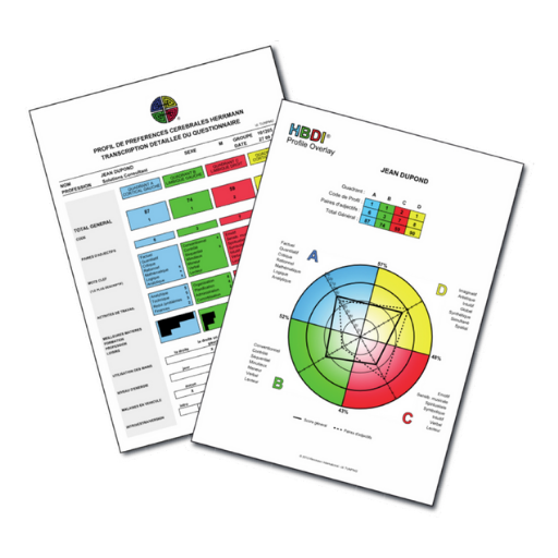 Your HBDI® Profile – Discover Your Thinking Style